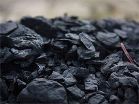 Coal