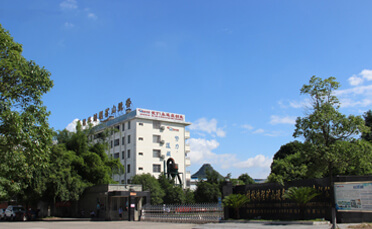 About HCM 4